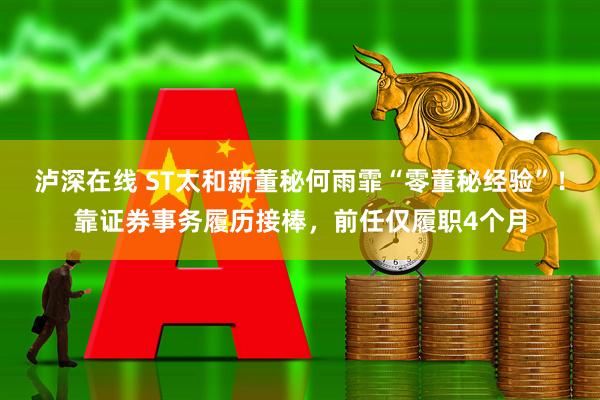 泸深在线 ST太和新董秘何雨霏“零董秘经验”！靠证券事务履历接棒，前任仅履职4个月