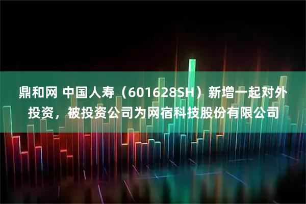 鼎和网 中国人寿（601628SH）新增一起对外投资，被投资公司为网宿科技股份有限公司