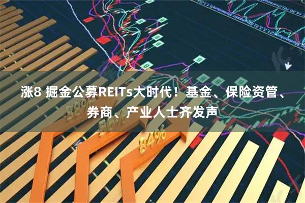 涨8 掘金公募REITs大时代！基金、保险资管、券商、产业人士齐发声