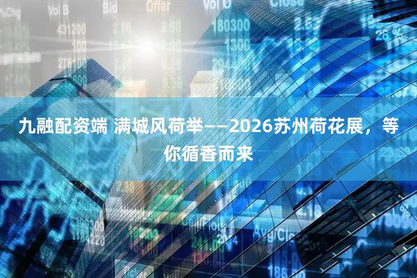 九融配资端 满城风荷举——2026苏州荷花展，等你循香而来